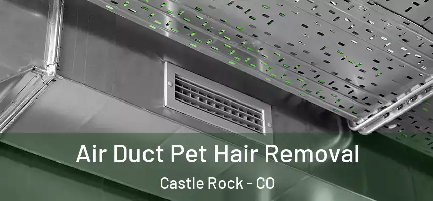 Air Duct Pet Hair Removal Castle Rock - CO