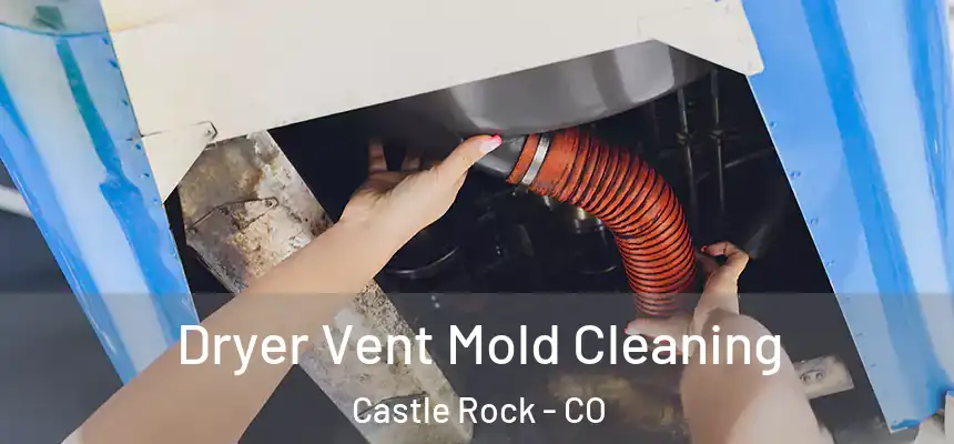  Dryer Vent Mold Cleaning Castle Rock - CO