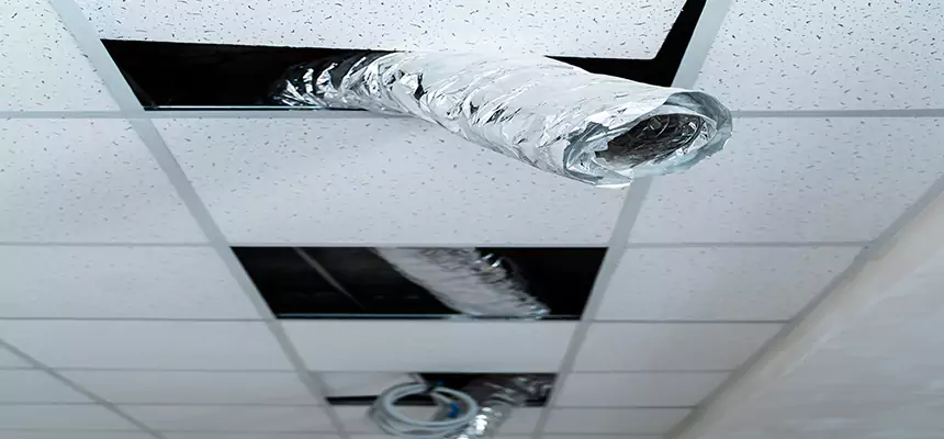 Our Air Duct Pet Hair Removal Services in Castle Rock, CO