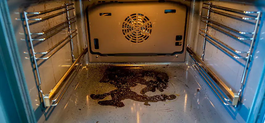 Our Dryer Vent Mold Cleaning Services in Castle Rock, CO