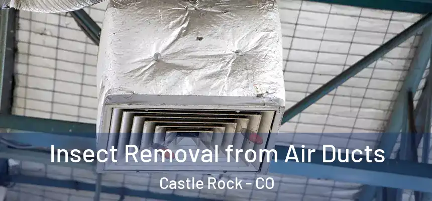 Insect Removal from Air Ducts Castle Rock - CO