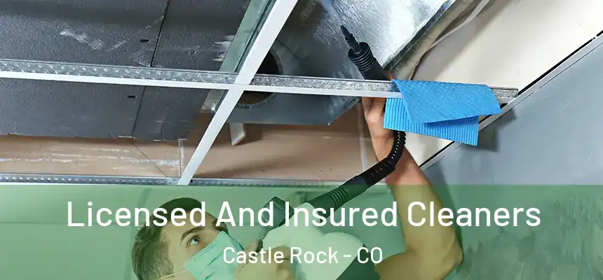 Licensed And Insured Cleaners Castle Rock - CO
