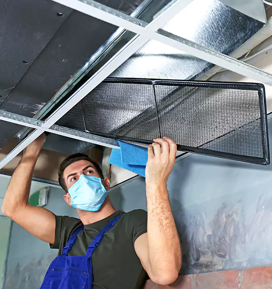 About Air Duct Bacteria Removal in Castle Rock