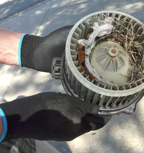 About Air Duct Rat Removal in Castle Rock, CO