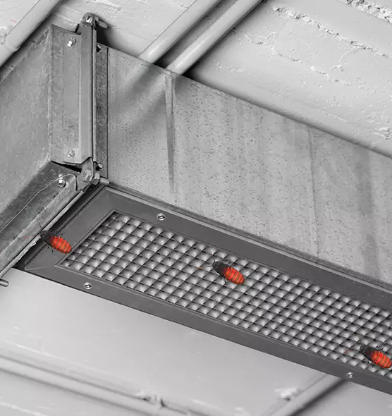 Affordable Insect Removal from Air Ducts in Castle Rock, CO