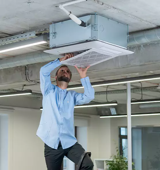 Advanced Rodent Droppings In Vents in Castle Rock, CO
