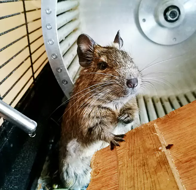 Why Homeowners & Businesses Trust Us Castle Rock, CO?