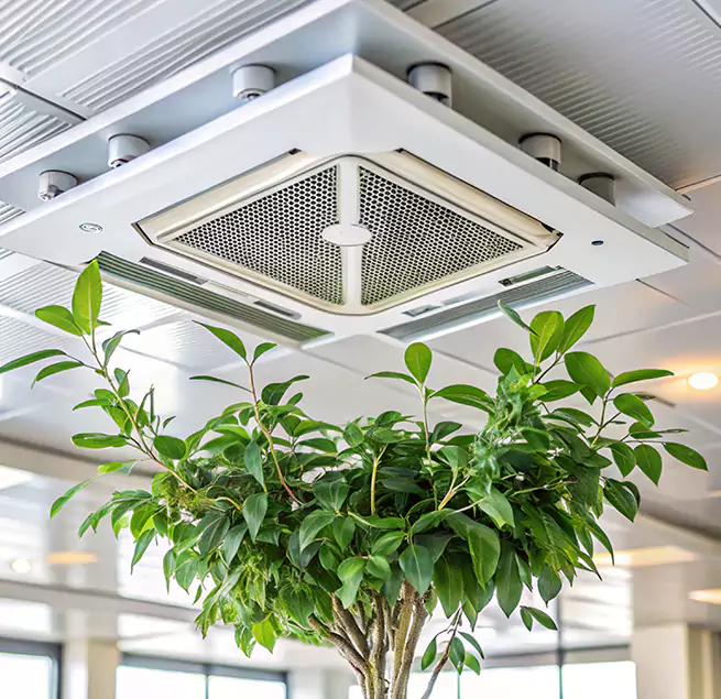 Why Homeowners & Businesses Trust Us in Castle Rock, CO?